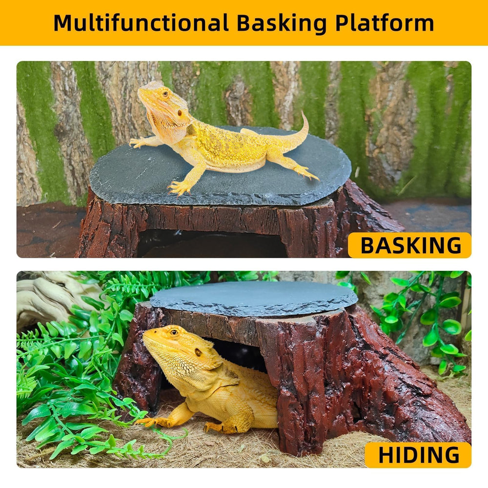 GXSDJ Bearded Dragon Basking Platform showing the three-dimensional rock climbing contours.