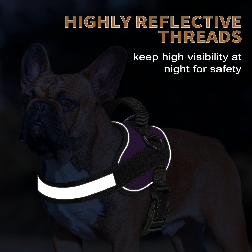 Haapaw dog harness with its widened handle and included leash.