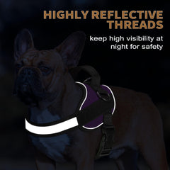 Haapaw dog harness with its widened handle and included leash.