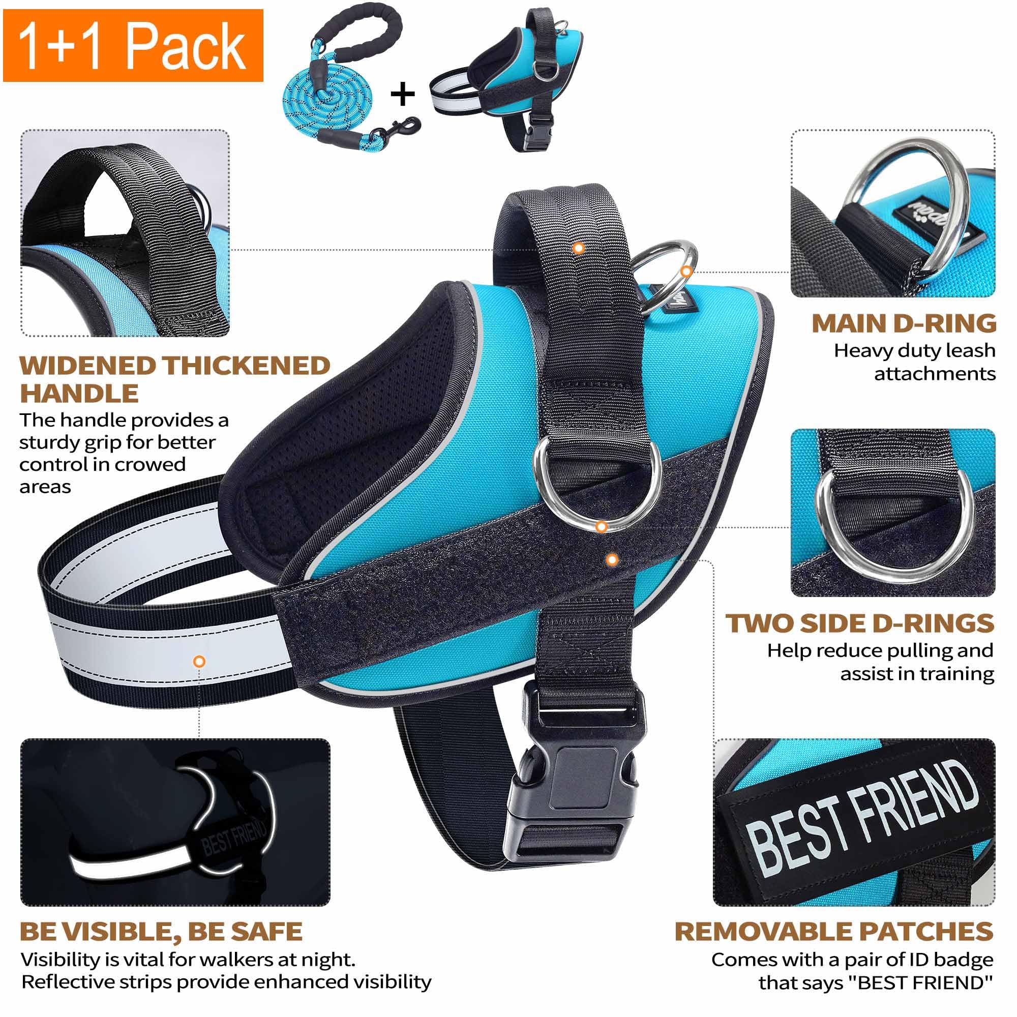 Haapaw dog harness showing its three leash attachment rings.