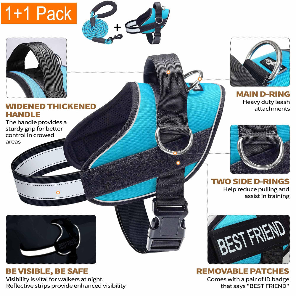Haapaw dog harness showing its three leash attachment rings.