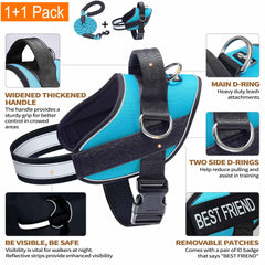 Haapaw dog harness showing its three leash attachment rings.