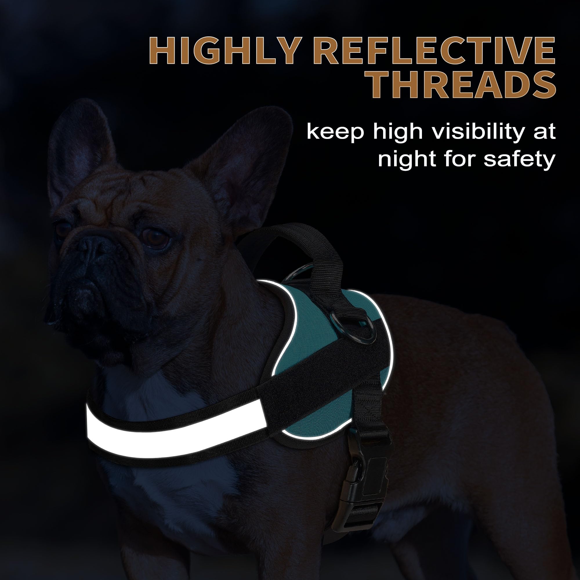 Haapaw dog harness detail showing its widened, thickened handle.