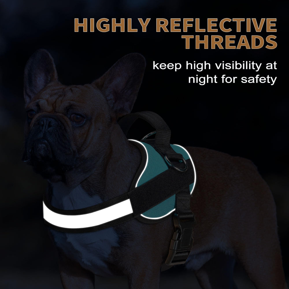 Haapaw dog harness detail showing its widened, thickened handle.
