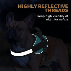 Haapaw dog harness detail showing its widened, thickened handle.