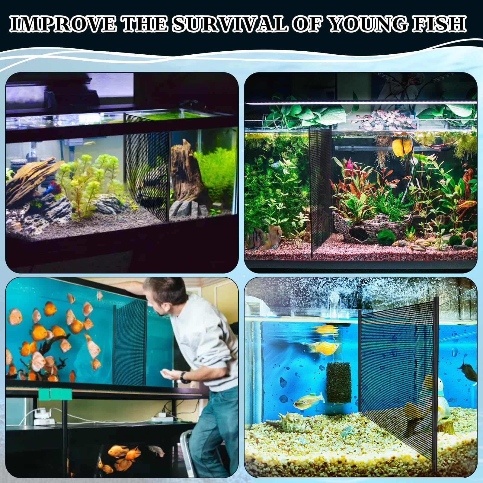 Haiabei aquarium mesh divider separating fish into distinct tank compartments.