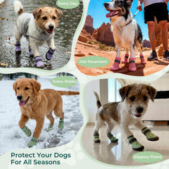 Haloumoning dog boots with their adjustable hook-and-loop straps.