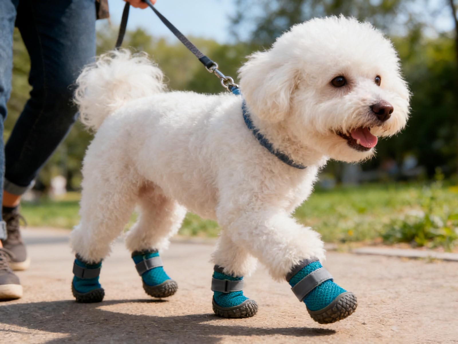 Haloumoning dog boots shown as a matching set of four.