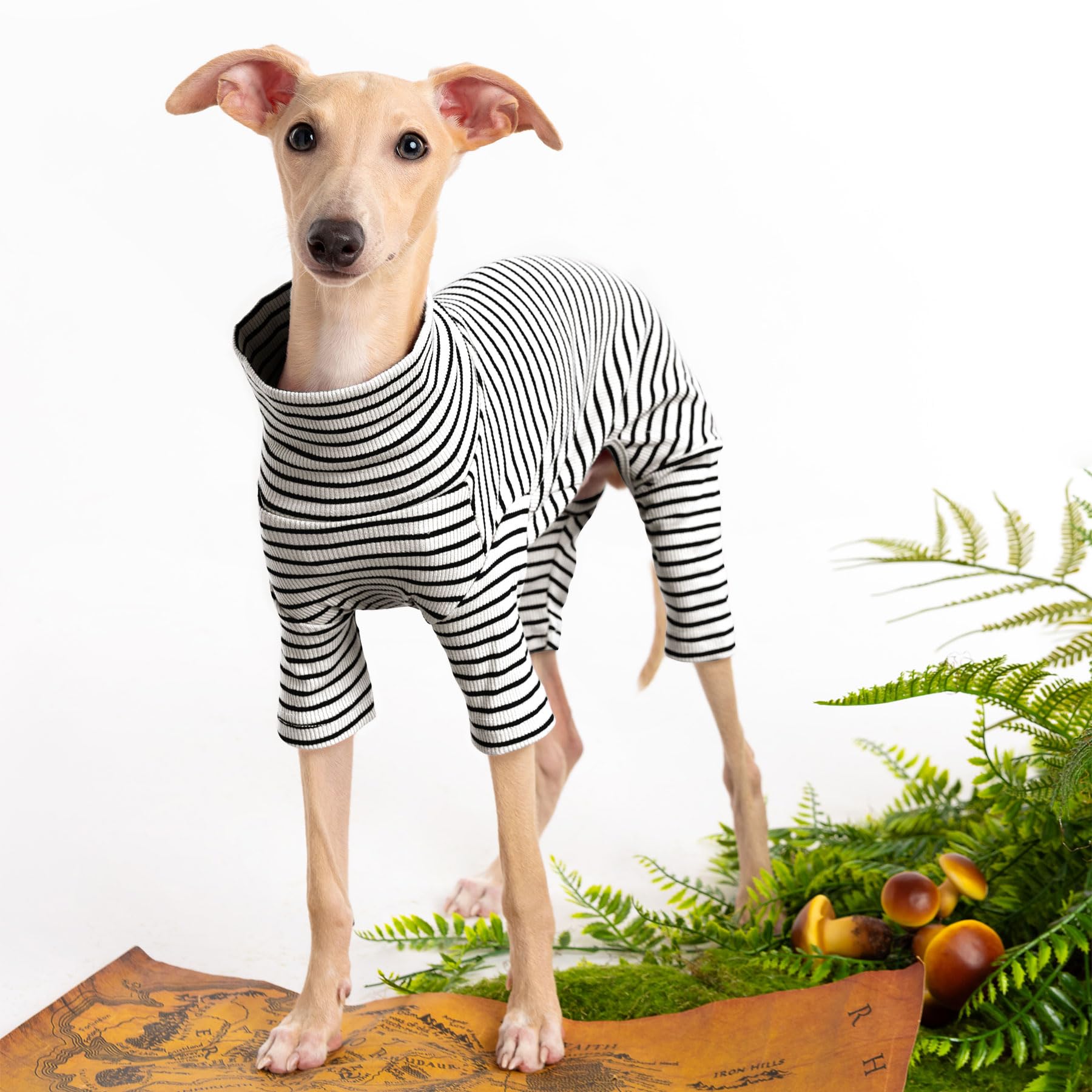 Haloumoning striped dog sweater showing its knit fabric and color-block pattern.