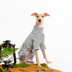 Haloumoning striped dog sweater with a close view of the turtleneck.