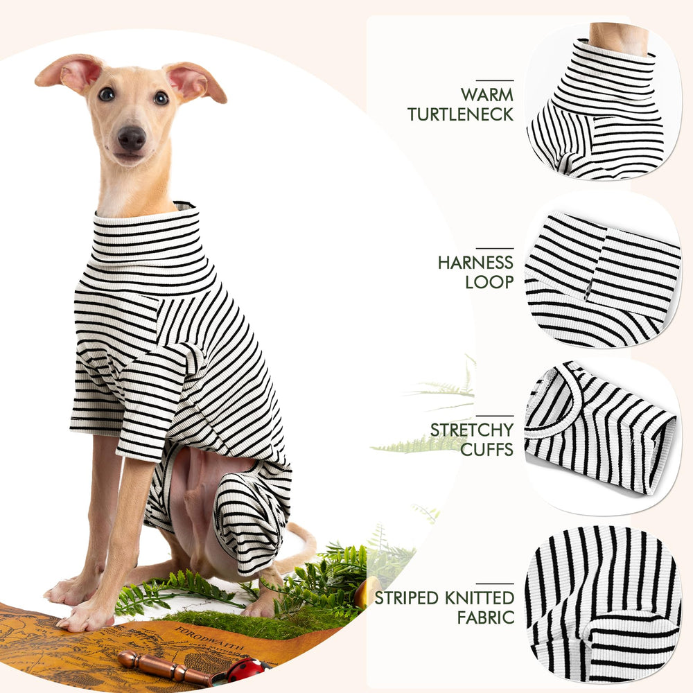 Haloumoning striped dog sweater shown worn by a dog.