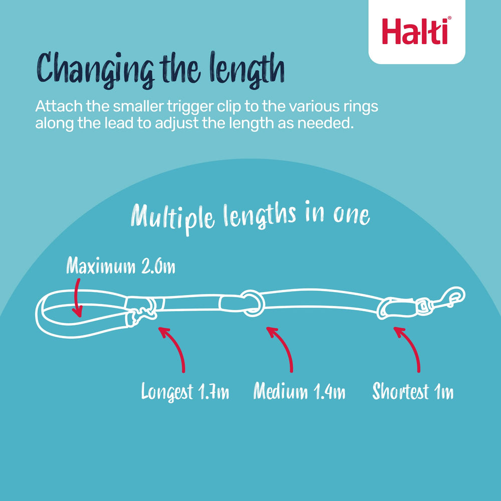 Halti headcollar safety link shown beside its collar connection point.