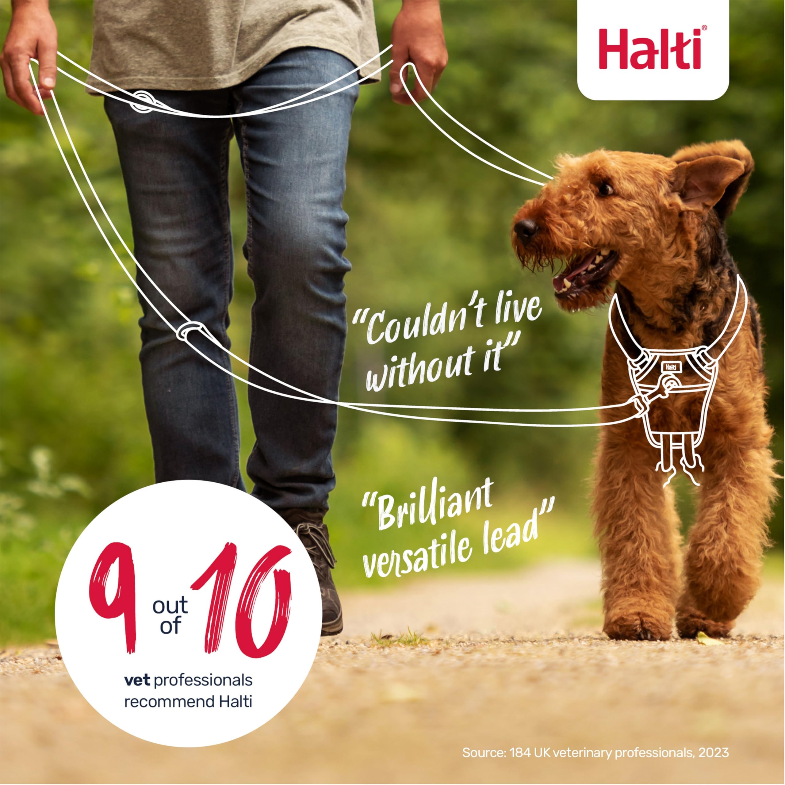 Halti Training Dog Leash shown in a tethering arrangement.