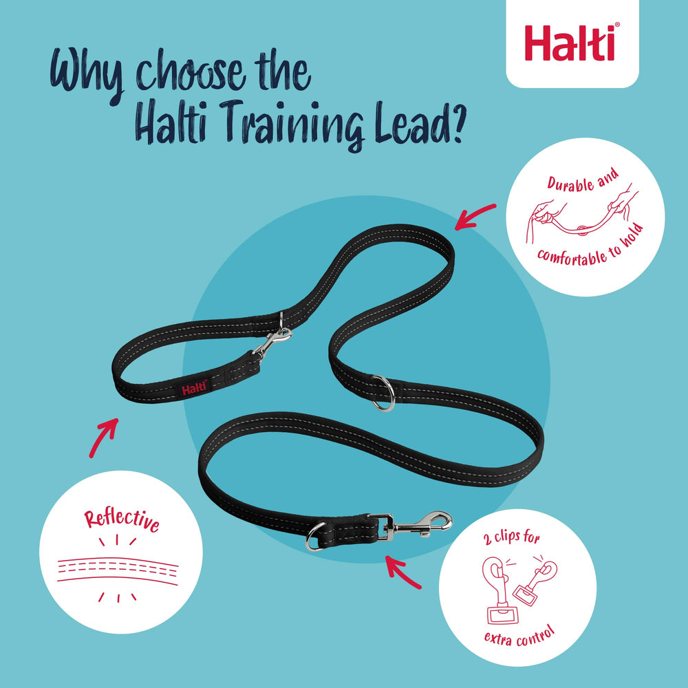 Halti training leash close-up showing its two trigger clips.