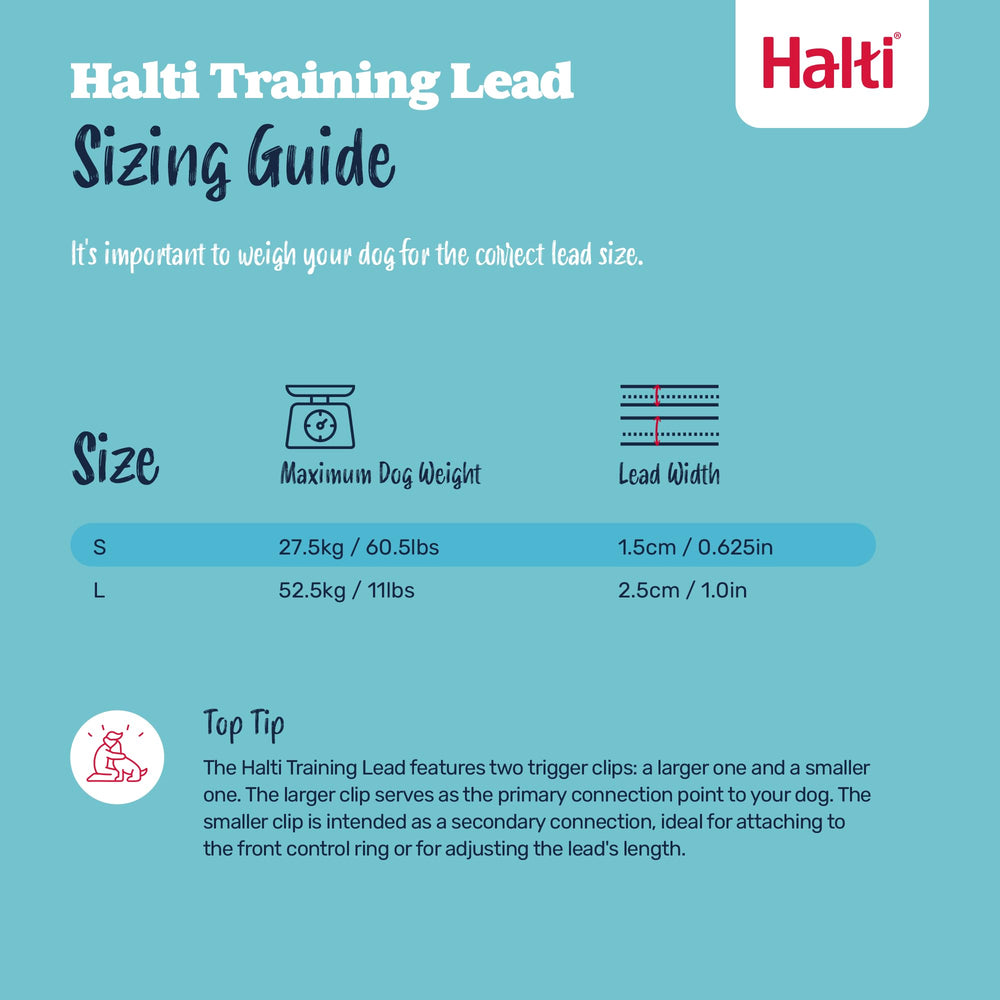 Halti training leash shown arranged to illustrate its multiple configurations.