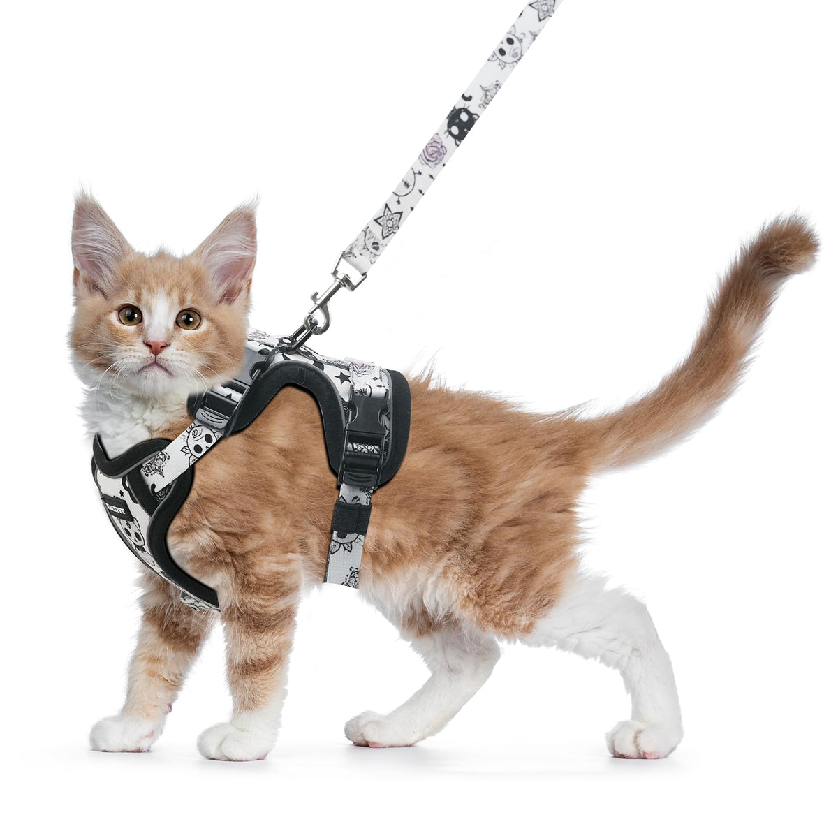 Halypet cat harness and leash set shown from the front.