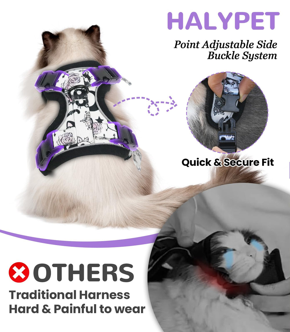 A cat wearing the Halypet cat harness and leash set.