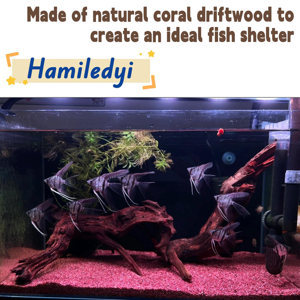 Hamiledyi driftwood arranged as natural aquarium decor.