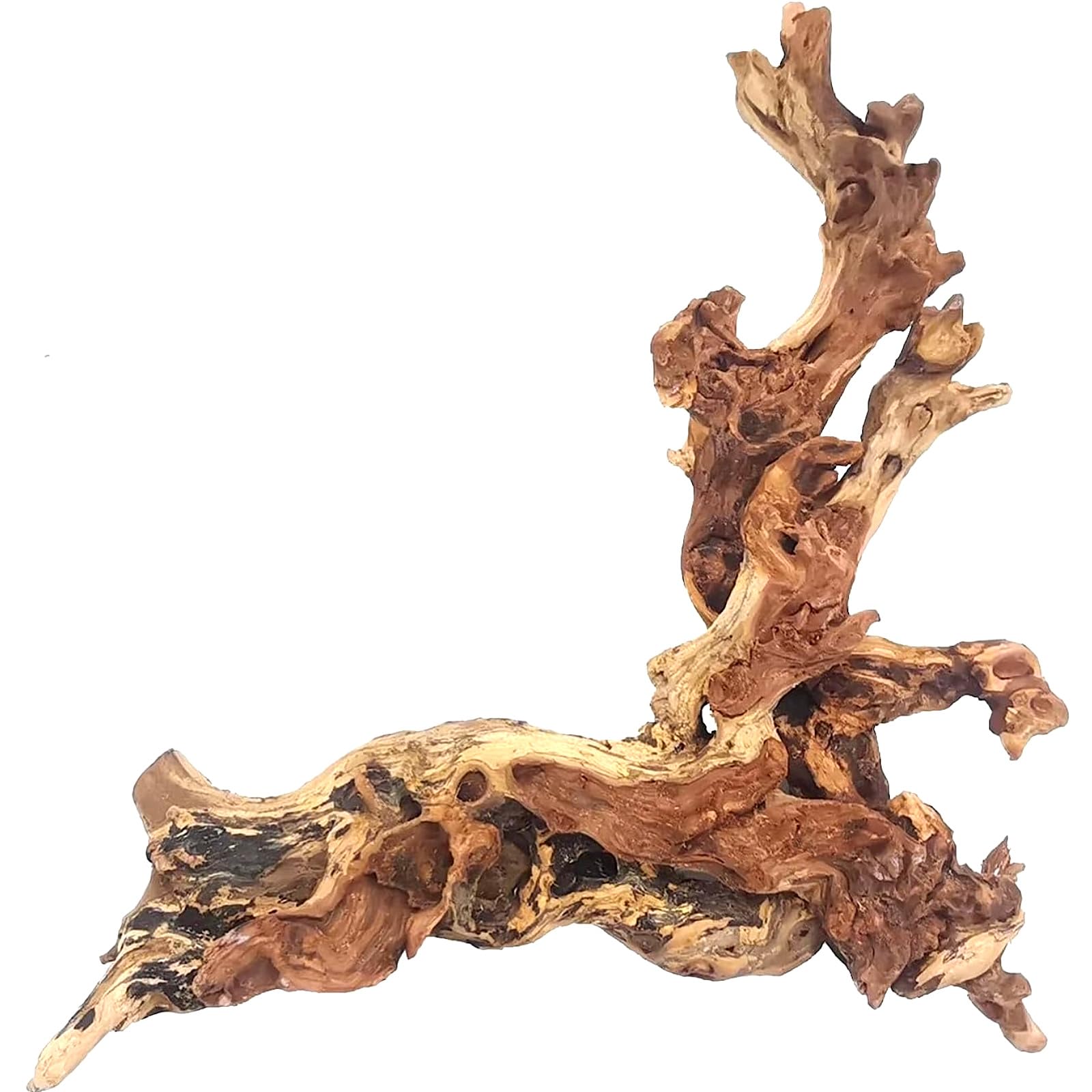 Hamiledyi driftwood shown in a full branch view.