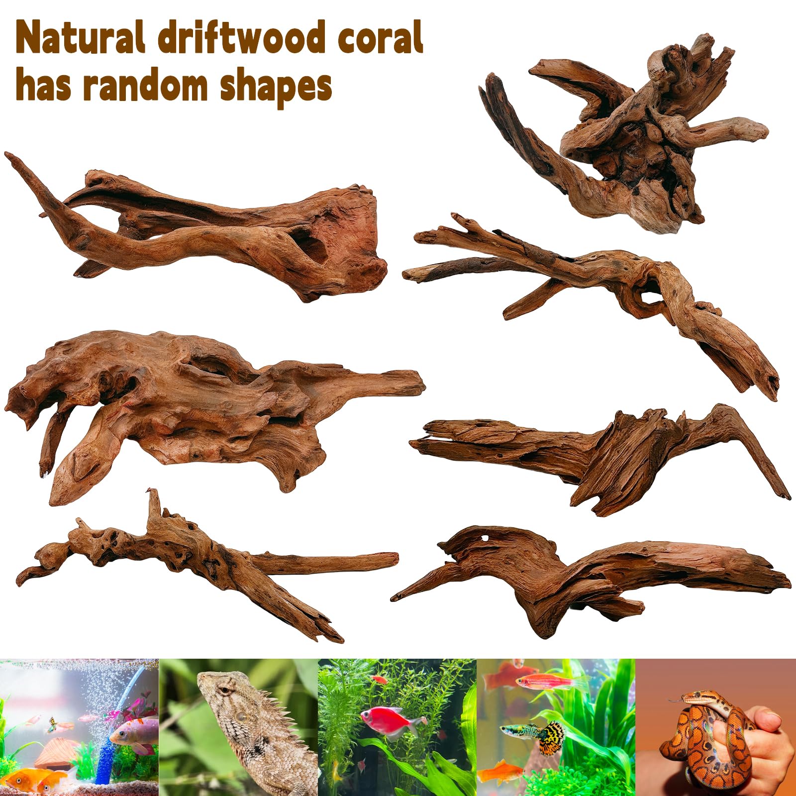 Hamiledyi driftwood shown in a home garden landscape setting.