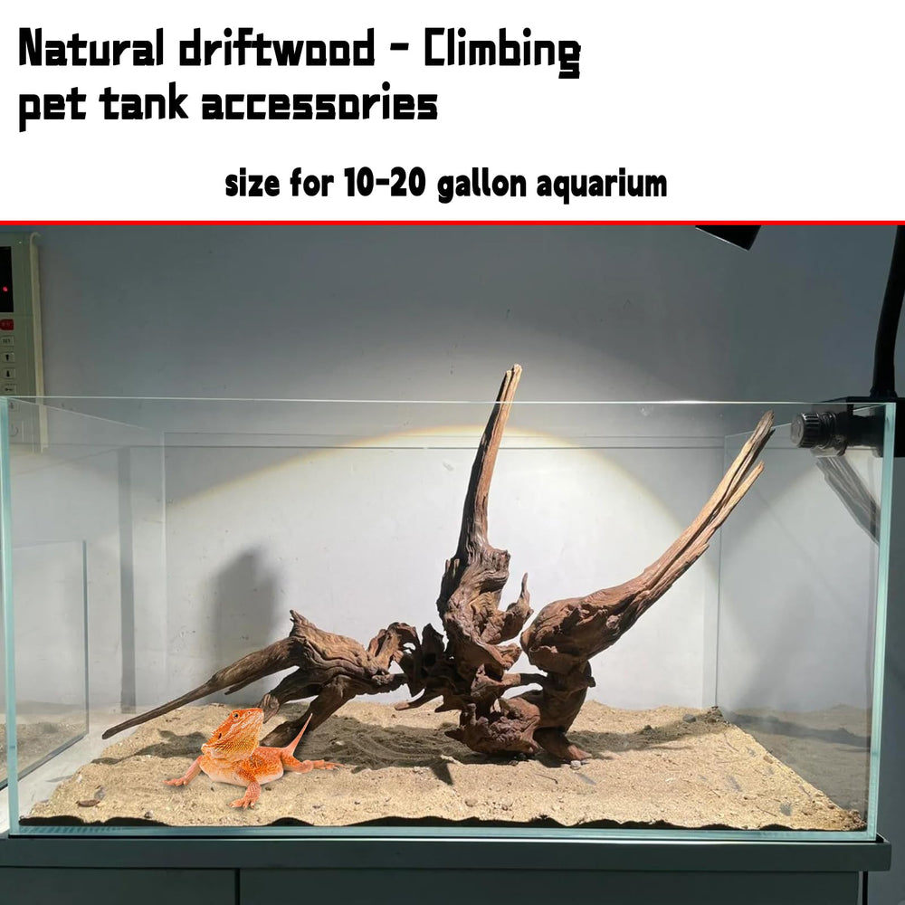 Hamiledyi driftwood positioned as a climbing branch in a reptile habitat.