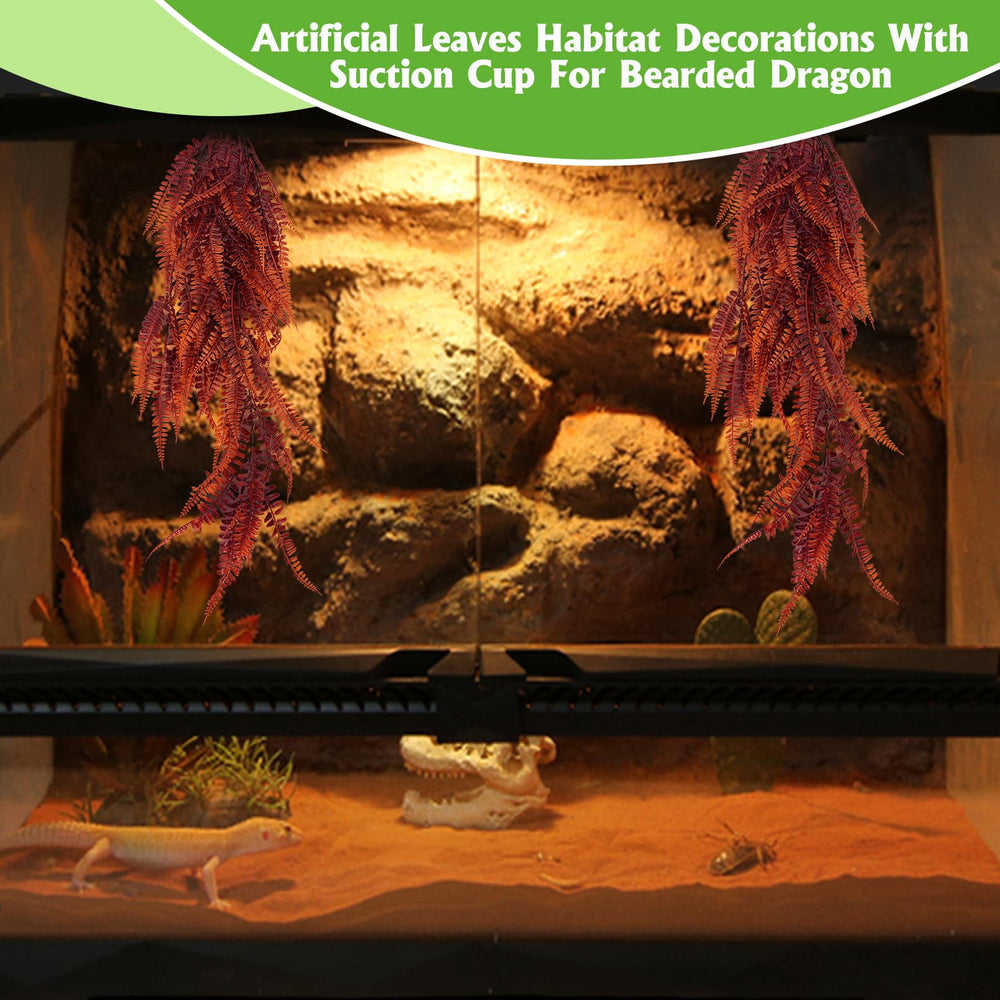 Hamiledyi Reptile Plants being rinsed as part of cleaning.