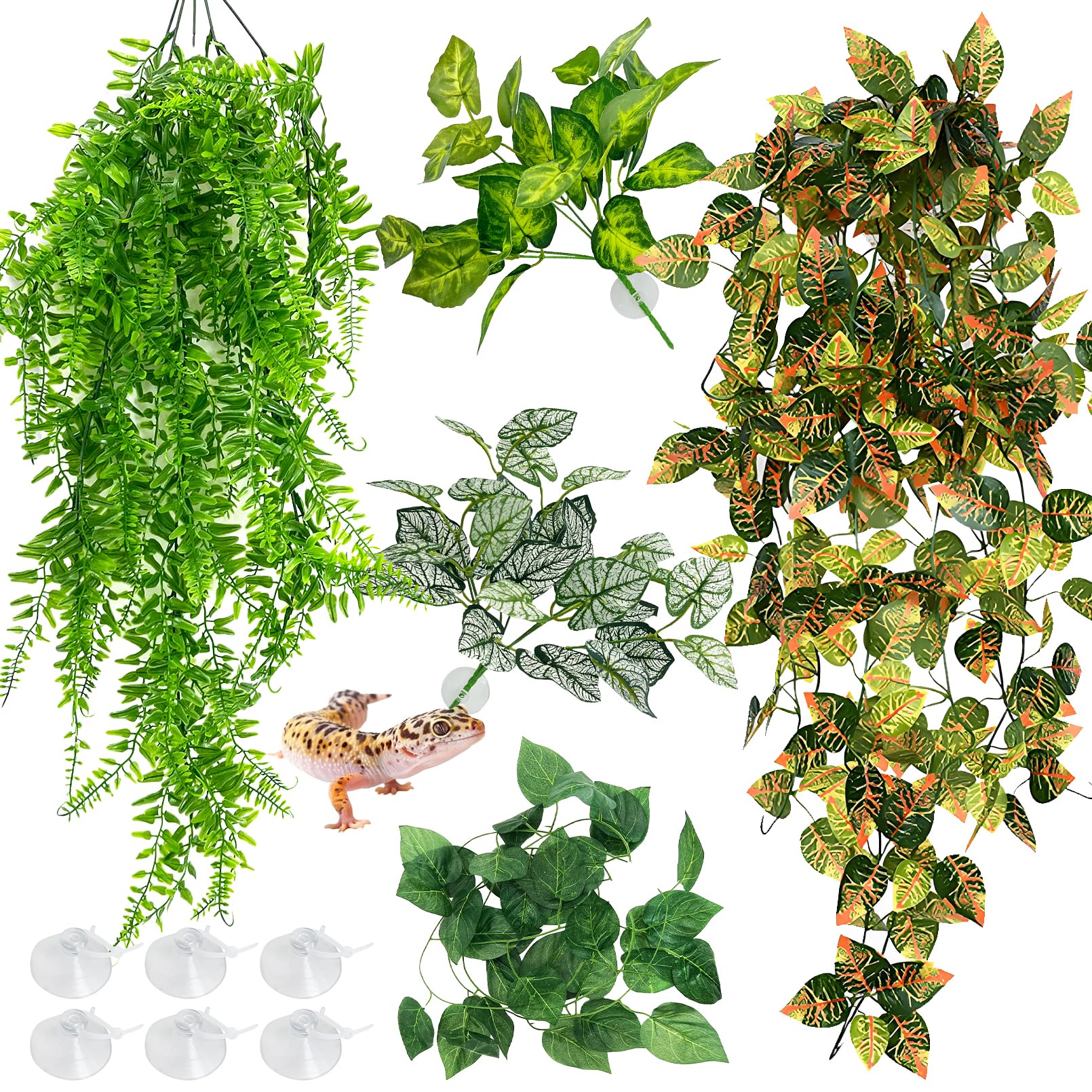 Hamiledyi reptile plants shown together as a five-piece foliage set.