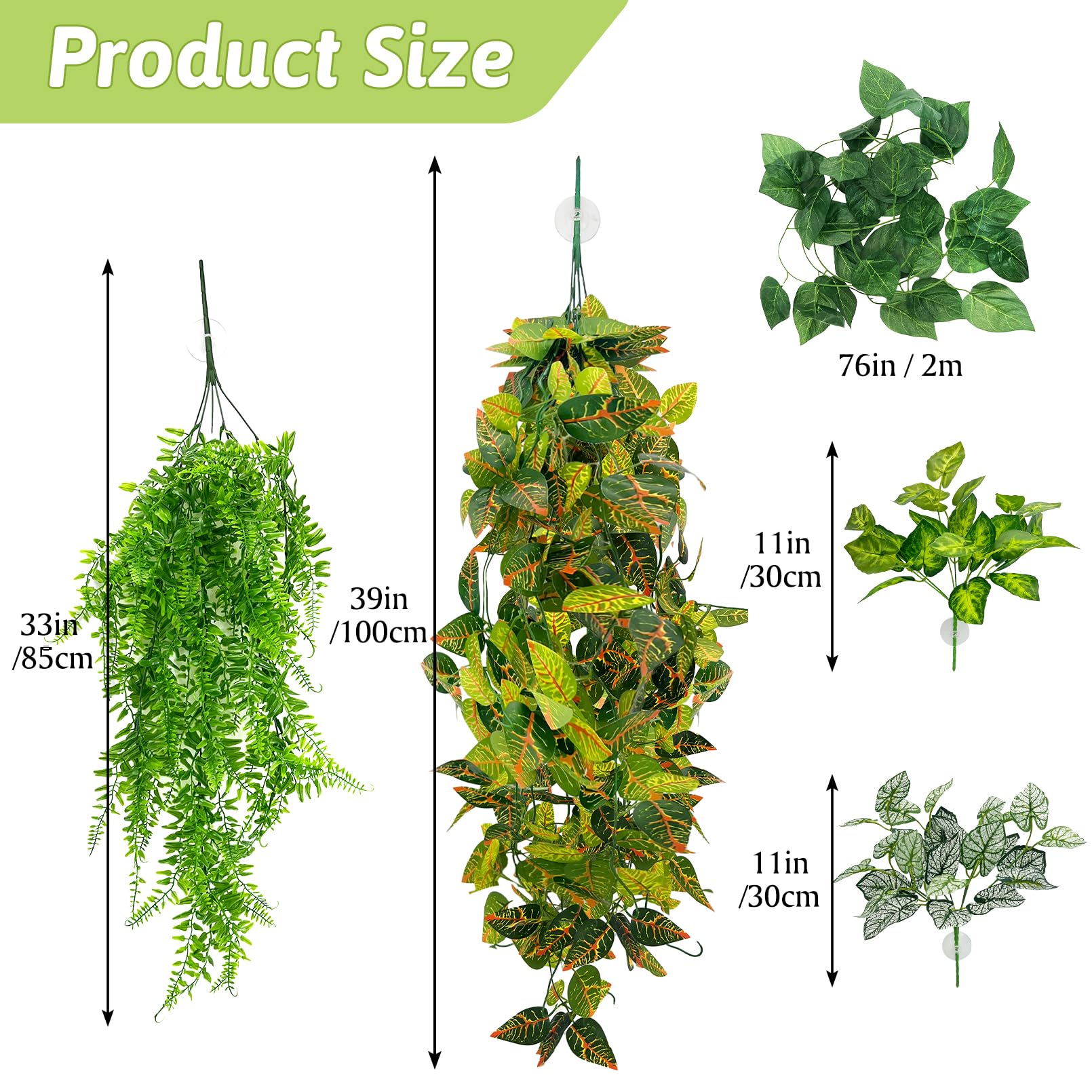 Hamiledyi reptile plants featuring the two large hanging leaf vines.