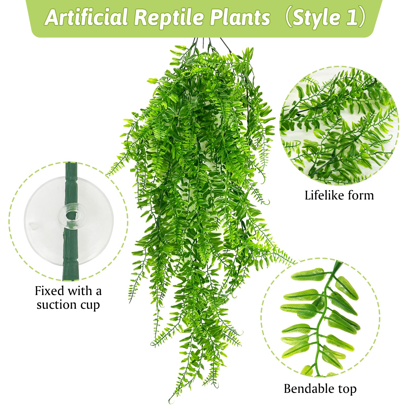 Hamiledyi reptile plants with the long green leaf shown separately.