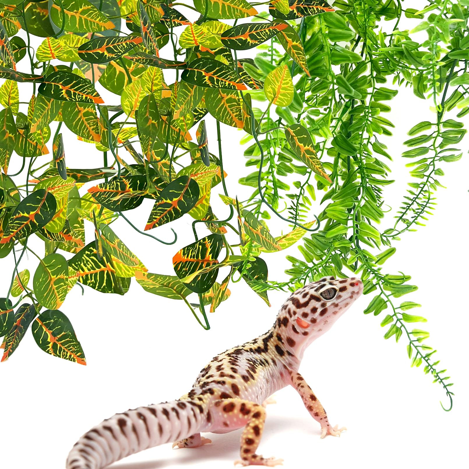 Hamiledyi reptile plants attached to a terrarium wall with suction cups.