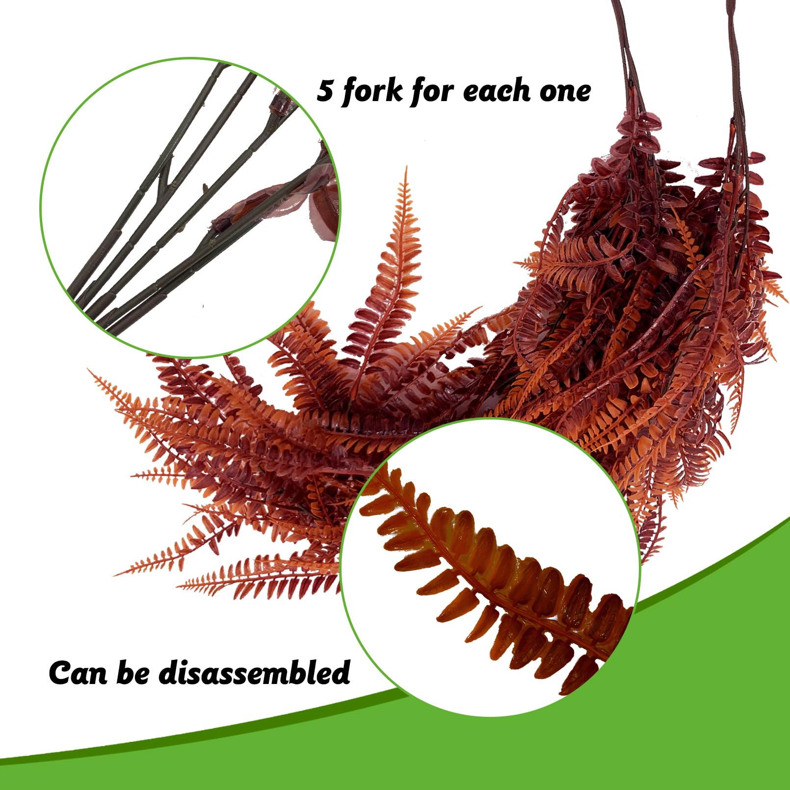 Hamiledyi Reptile Plants with suction cups for habitat attachment.