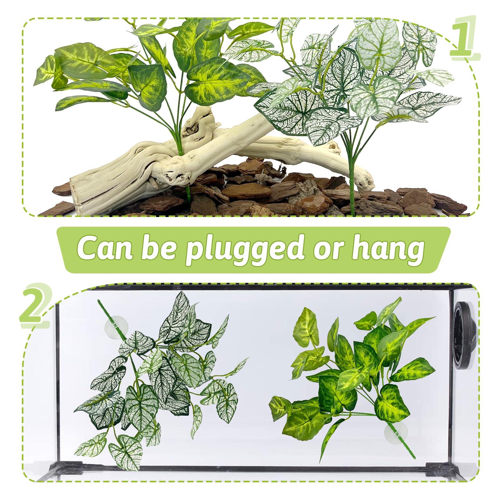 Hamiledyi reptile plants arranged as foliage inside a terrarium.