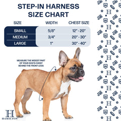 Hamilton nylon dog harness with a close view of the reinforced buckle.