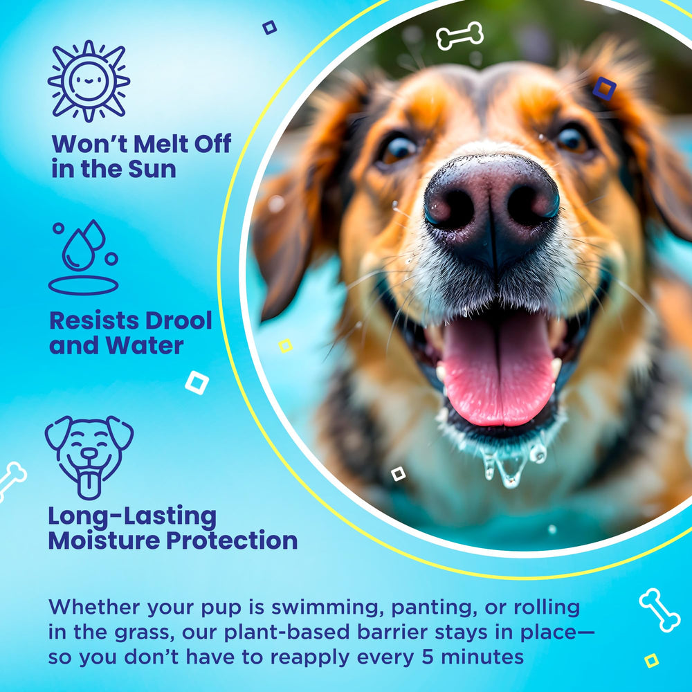 Handy Hound SnoutScreen dog sunscreen balm applied to a dog's ear tip.