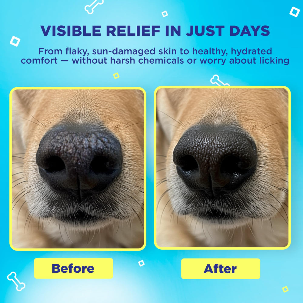 Handy Hound SnoutScreen dog sunscreen balm applied to a dog's nose.