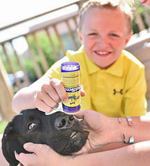 Handy Hound SnoutScreen dog sunscreen balm for outdoor dog care.