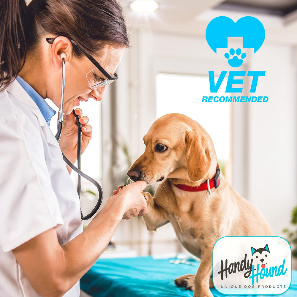 Handy Hound SnoutScreen dog sunscreen balm shown from a side angle.