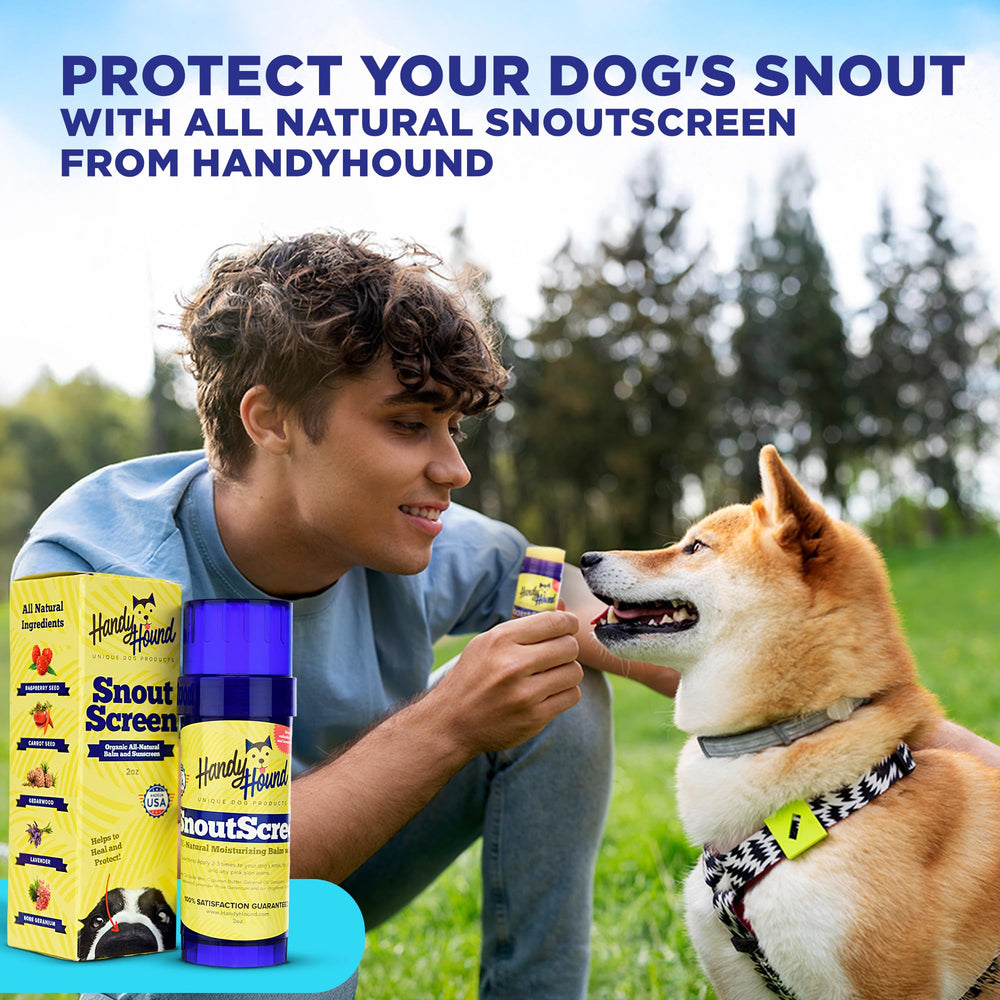 Handy Hound SnoutScreen dog sunscreen balm with its twist-up tube applicator.