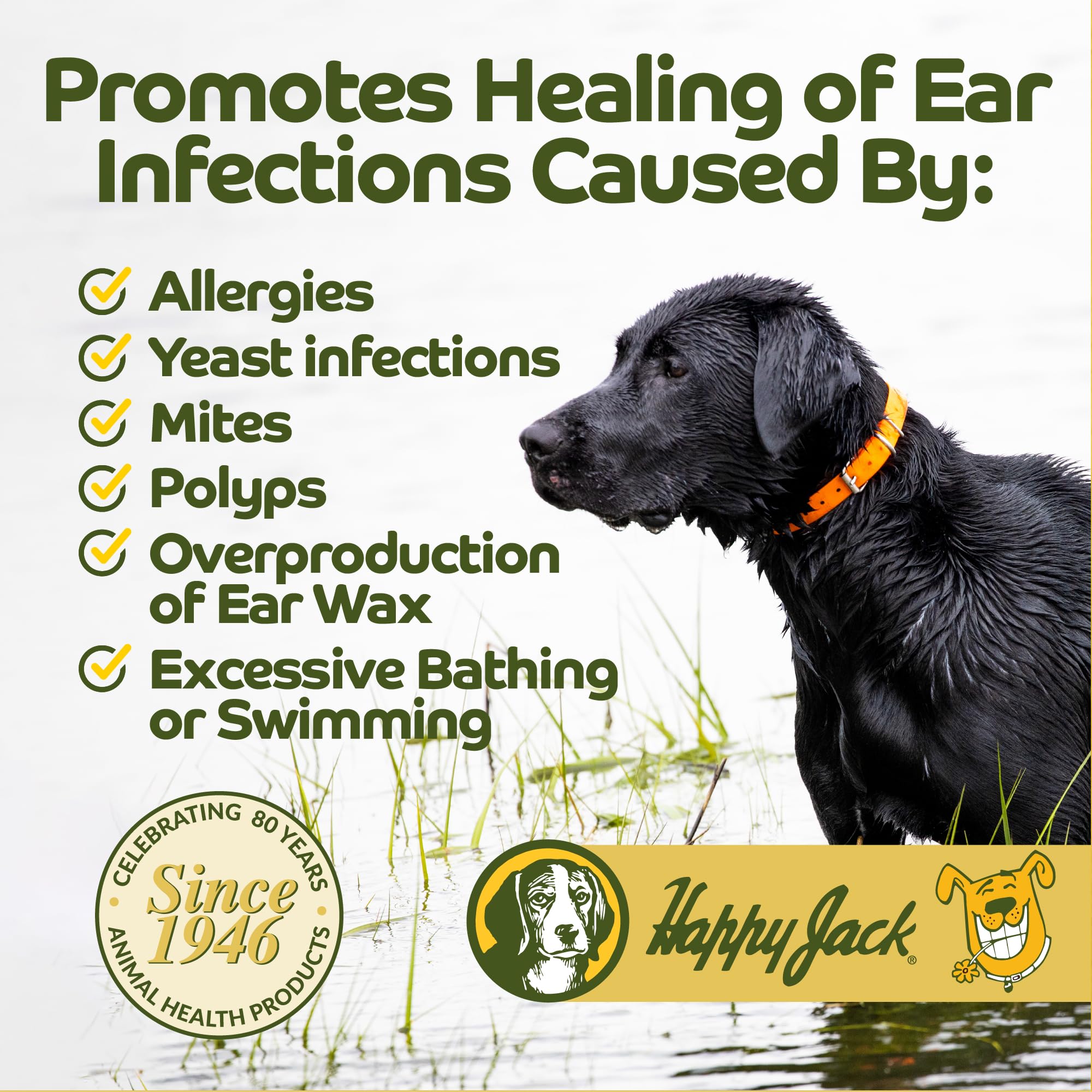 HAPPY JACK Ear Canker Powder featured in a dog ear-care setting.