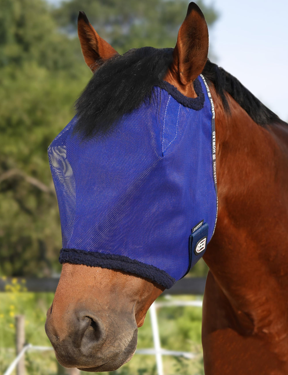 Harrison Howard horse fly mask shown from the front.