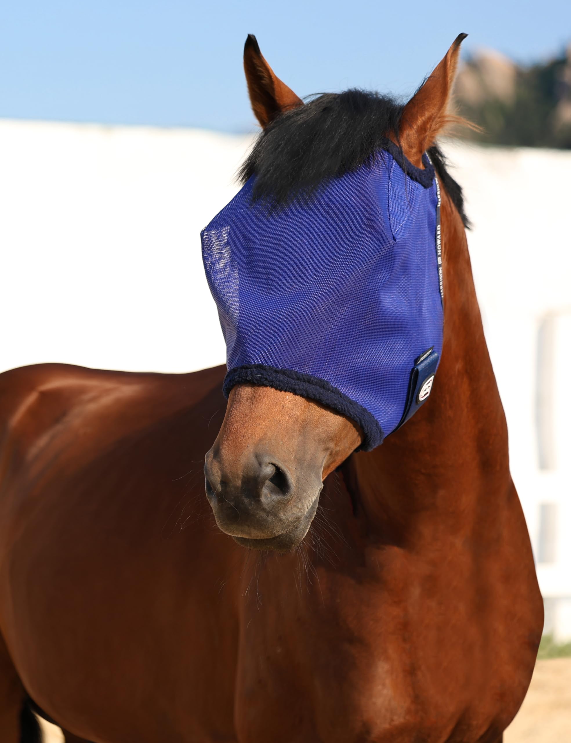 Harrison Howard horse fly mask shown from the side.
