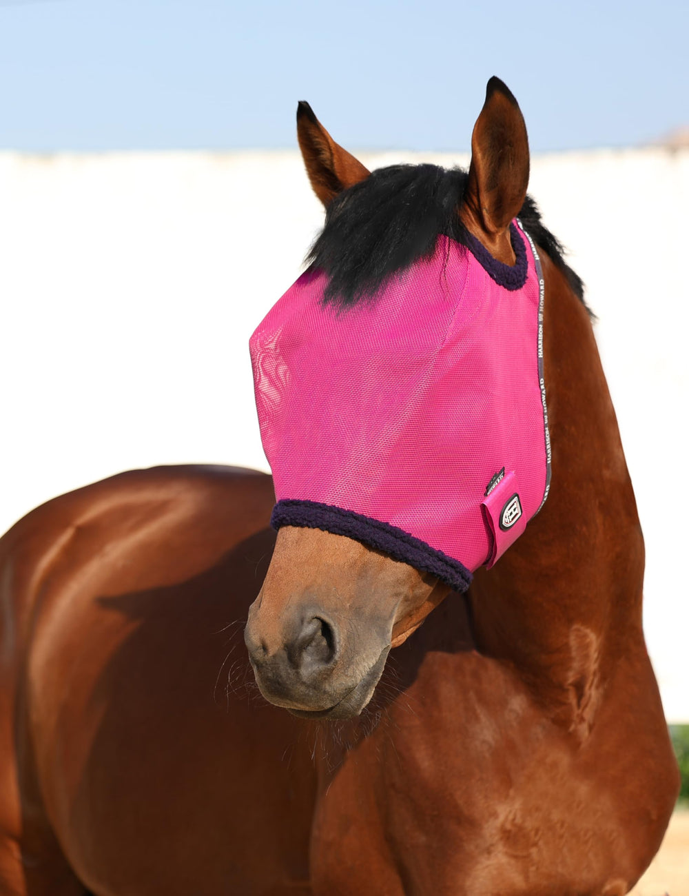 Harrison Howard horse fly mask shown worn by a horse.