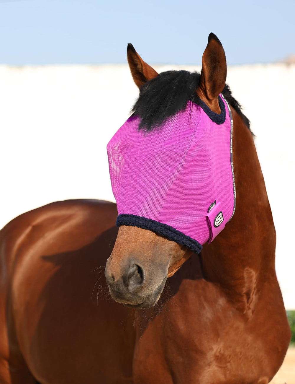 Harrison Howard mesh horse fly mask shown being worn by a horse.