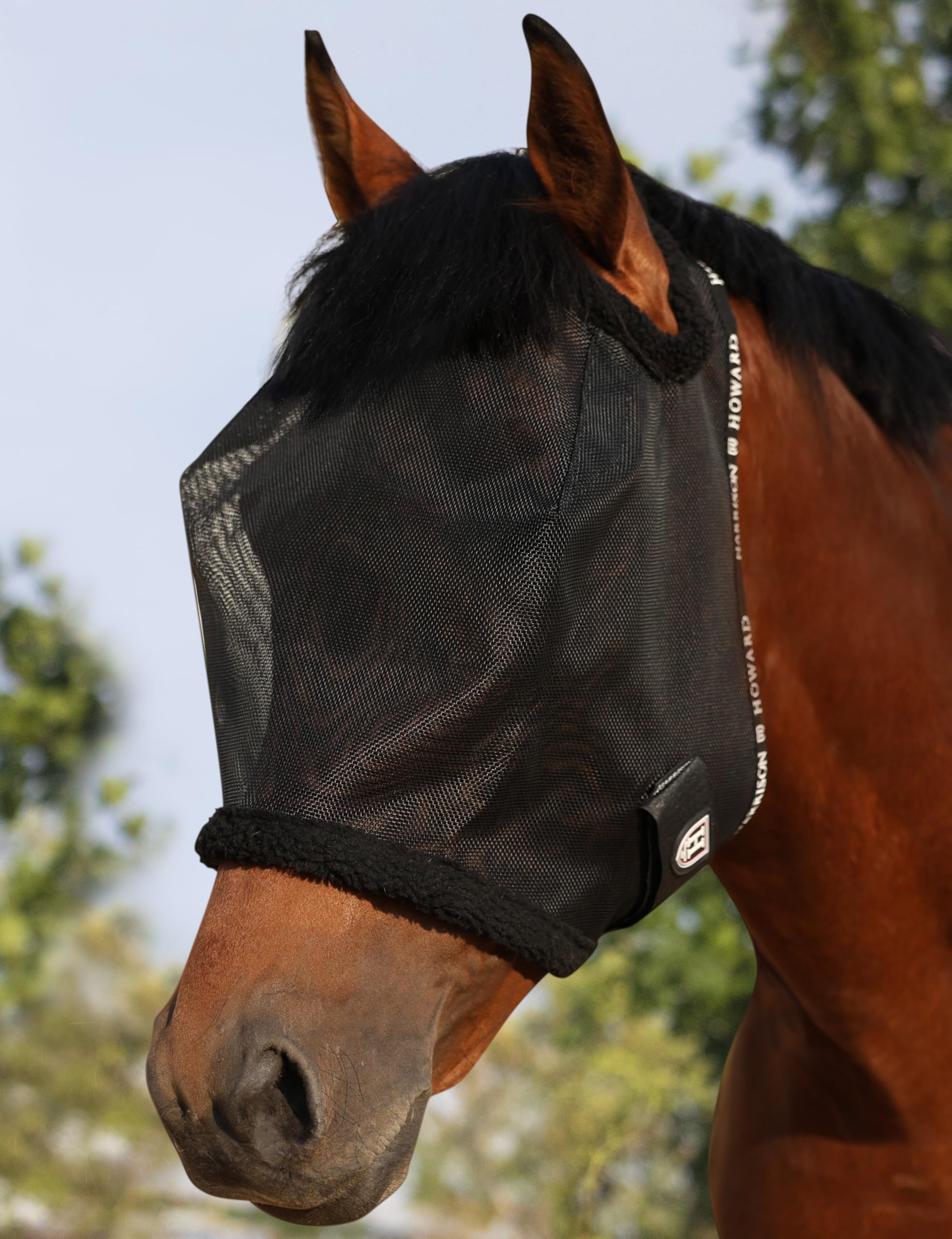 Harrison Howard mesh horse fly mask shown from the front in black.