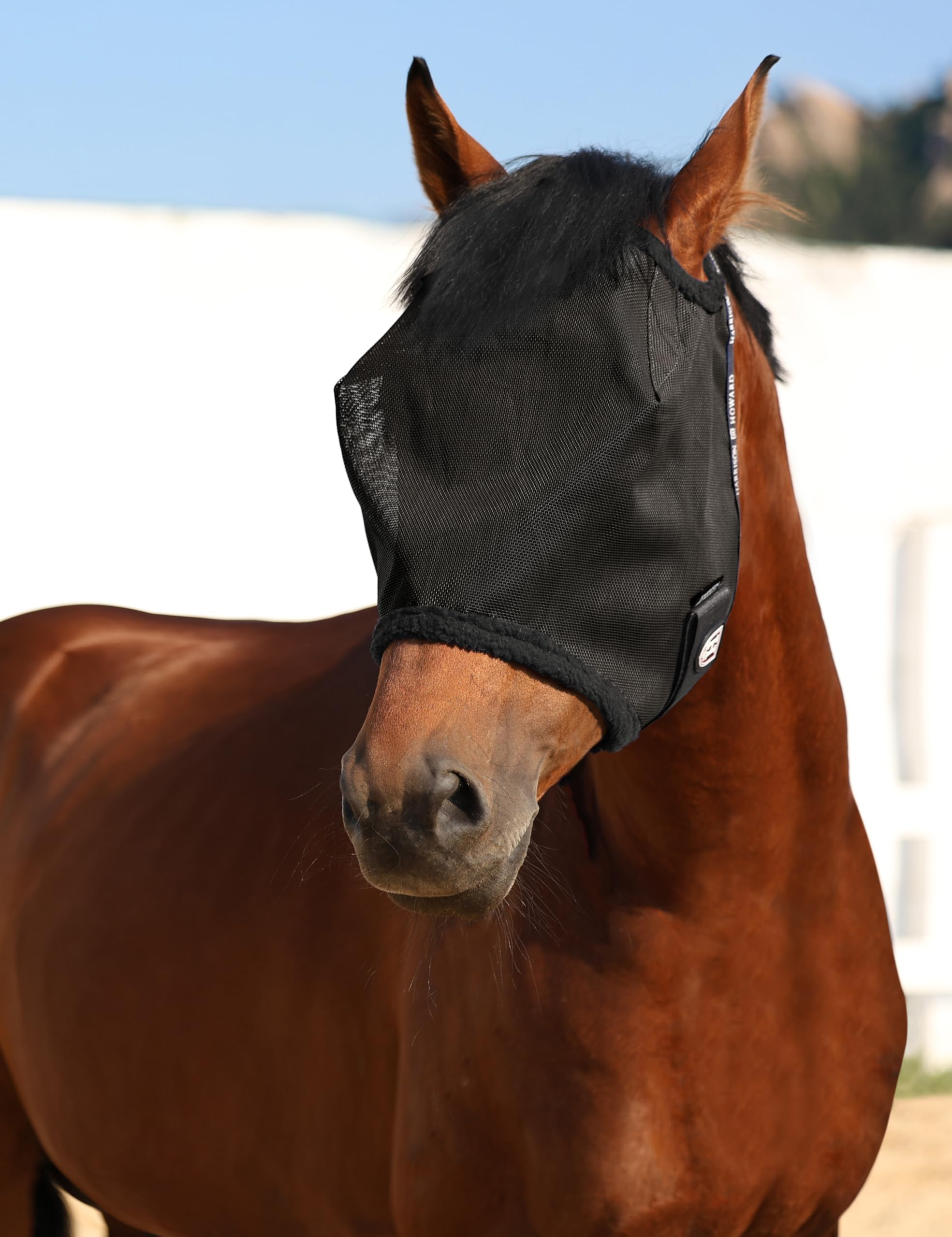 Harrison Howard mesh horse fly mask shown from the side.