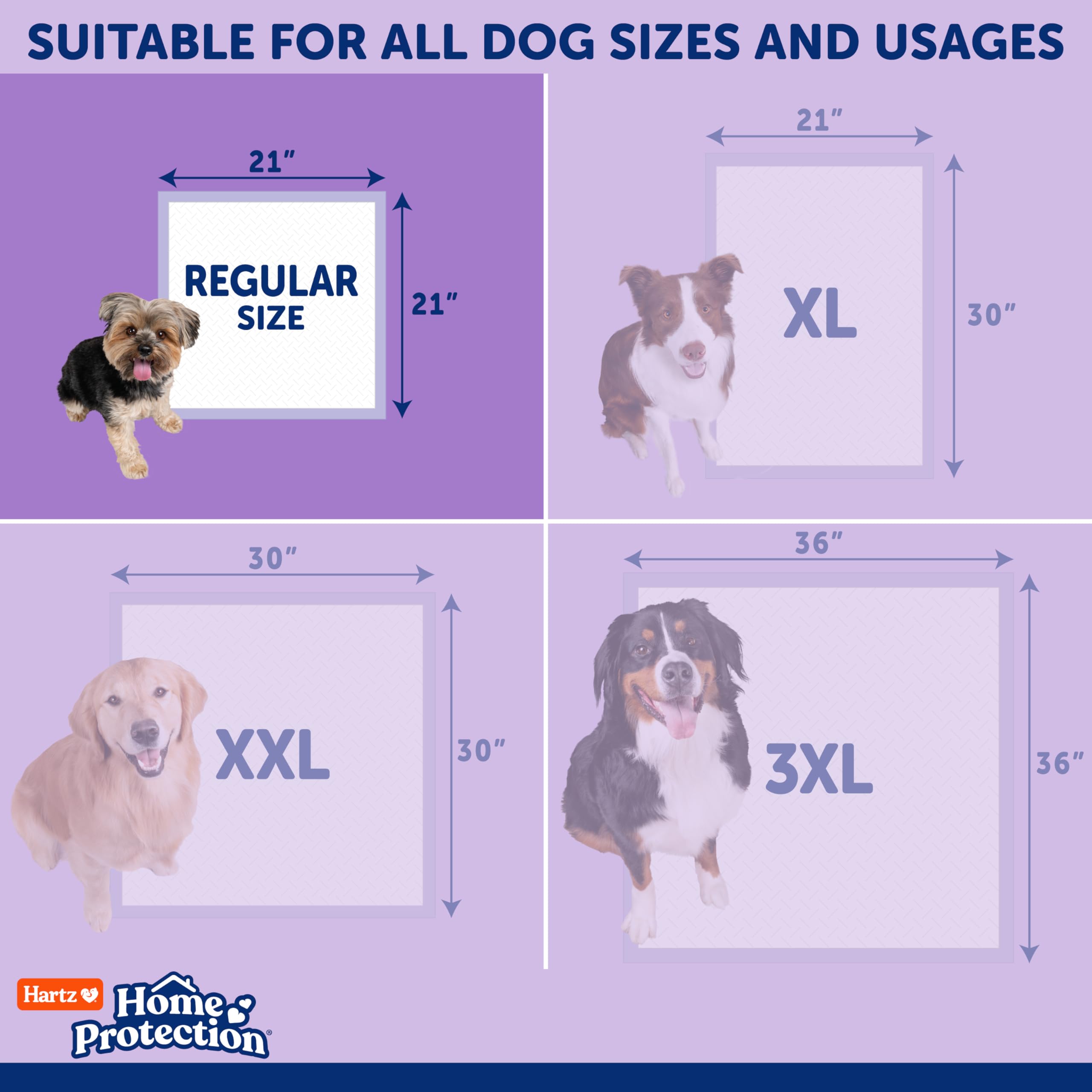Hartz dog pad shown in use by a dog for indoor potty needs.