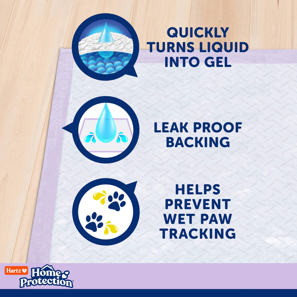 Hartz dog pads close-up of the waterproof backing and raised border.