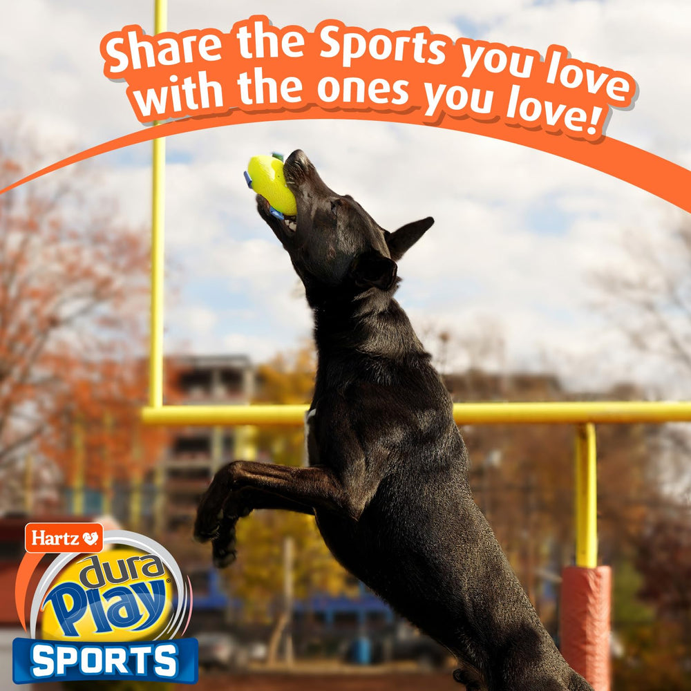 Hartz Dura Play Sports Football dog toy floating during outdoor play.