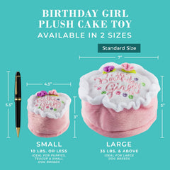 Haute Diggity Dog Birthday Girl Cake plush dog toy with embroidered birthday lettering in close-up.