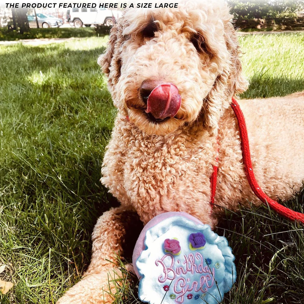 Haute Diggity Dog Birthday Girl Cake plush dog toy being cuddled.